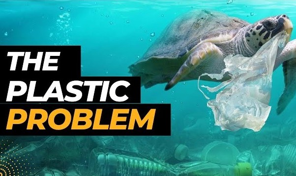 Plastic pollution